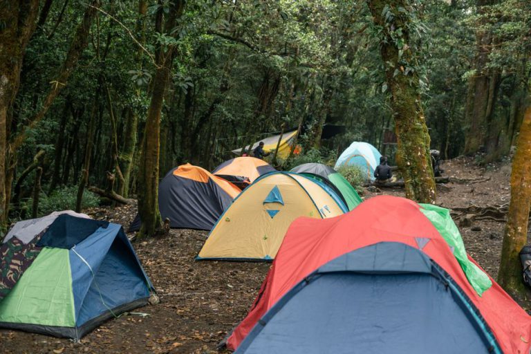 Camping für Anfänger: Die komplette Packliste