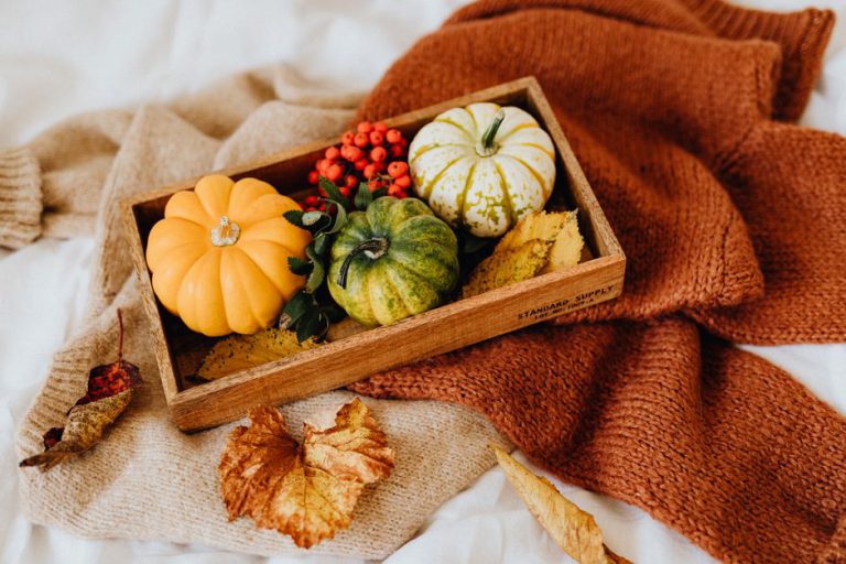 Herbstdeko für zuhause: gemütlich durch die kalte Jahreszeit
