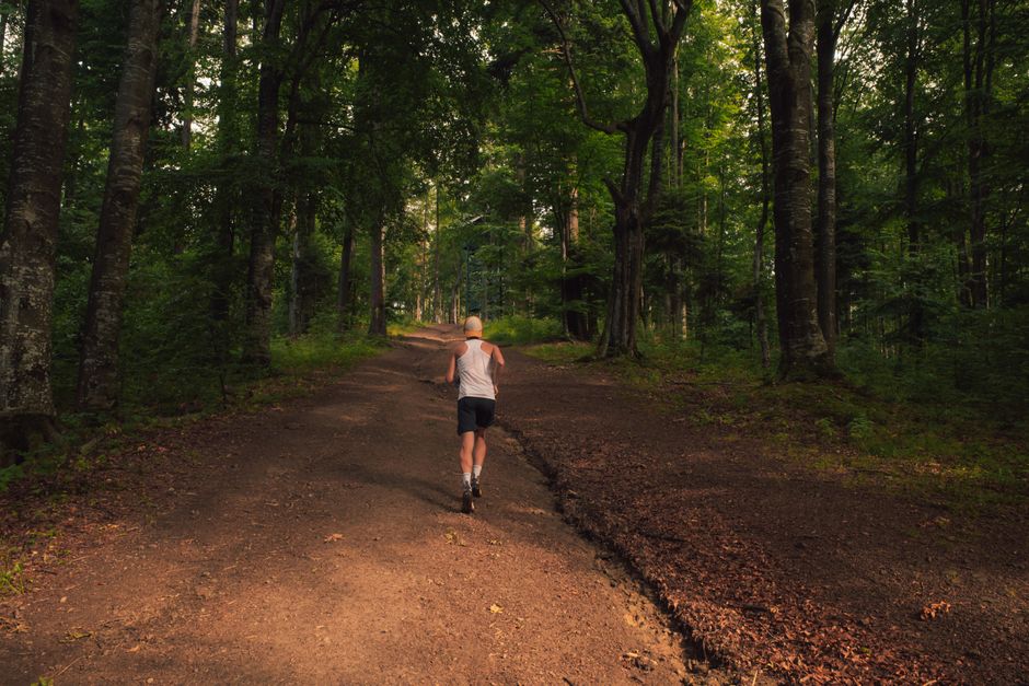 Trailrunning für Einsteiger: Technik, Ausrüstung & erste Schritte